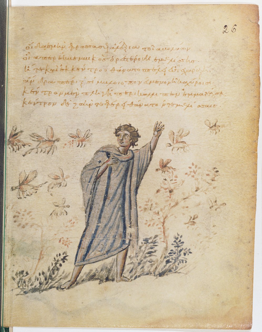 Manoscritto Supp Grec 247 fol.3 Uomo che fugge dalle api, illustrazione dal Theriaca di Nicandro di Colofone da Byzantine