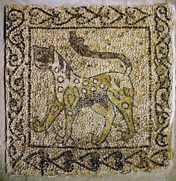 Pantera maculata, 1213 da Byzantine