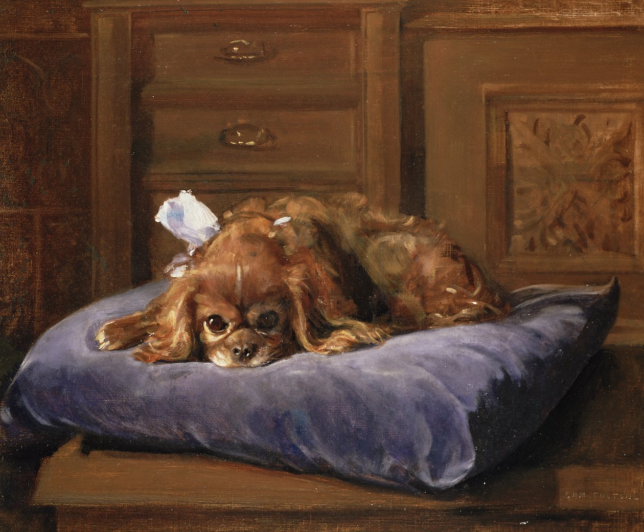 Spaniel del re Carlo da C. Fulton