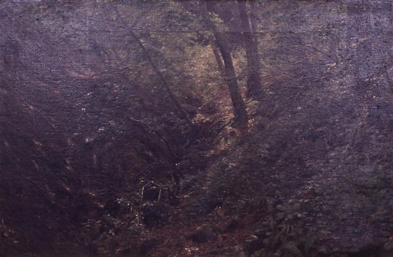 Primavera in una gola da C.A. Kølle