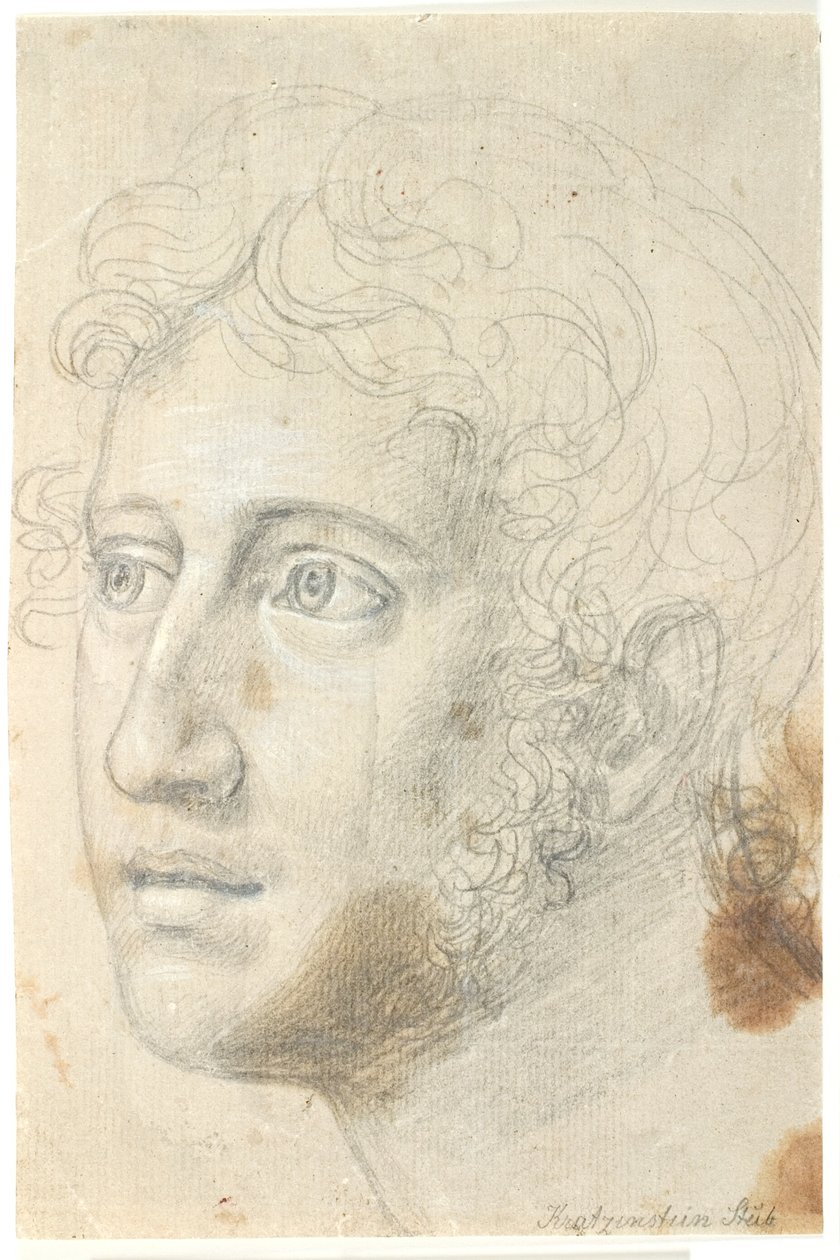 Testa di studio di Hother da C.G. Kratzenstein Stub