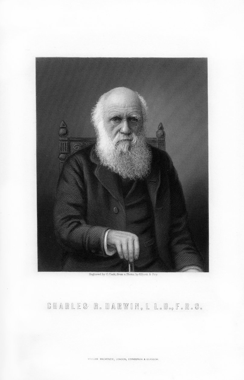 Charles Darwin, naturalista britannico, 1899 da C. Cook