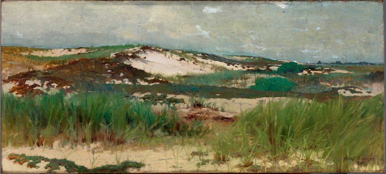 Duna di sabbia di Nantucket da C. Morgan McIlhenney