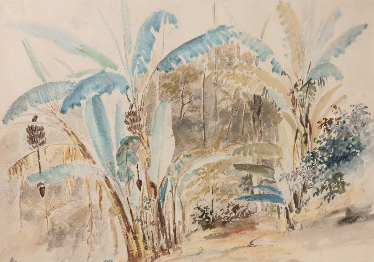Bananeti da Camille Jacob Pissarro