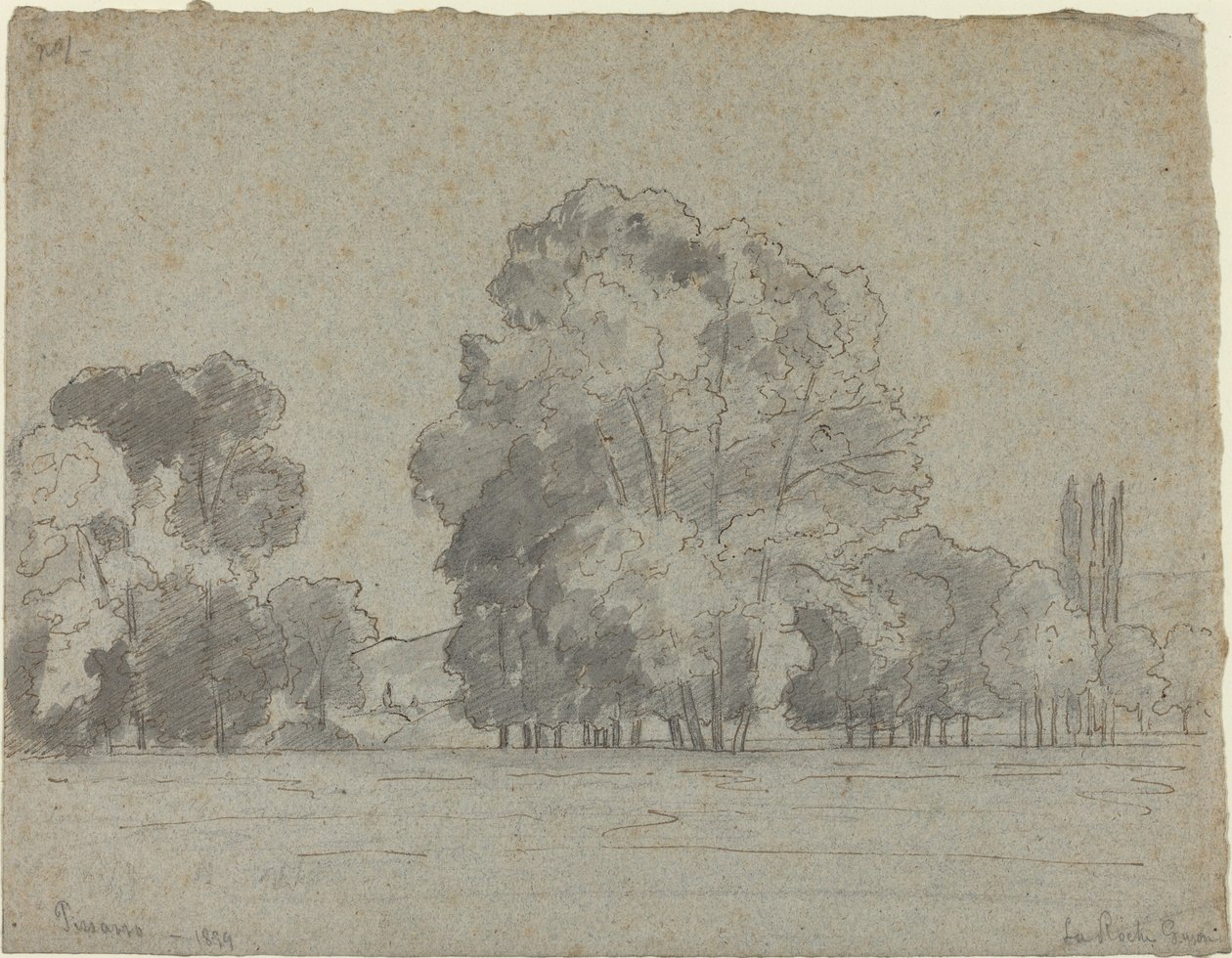 Boschetto di alberi da Camille Pissarro