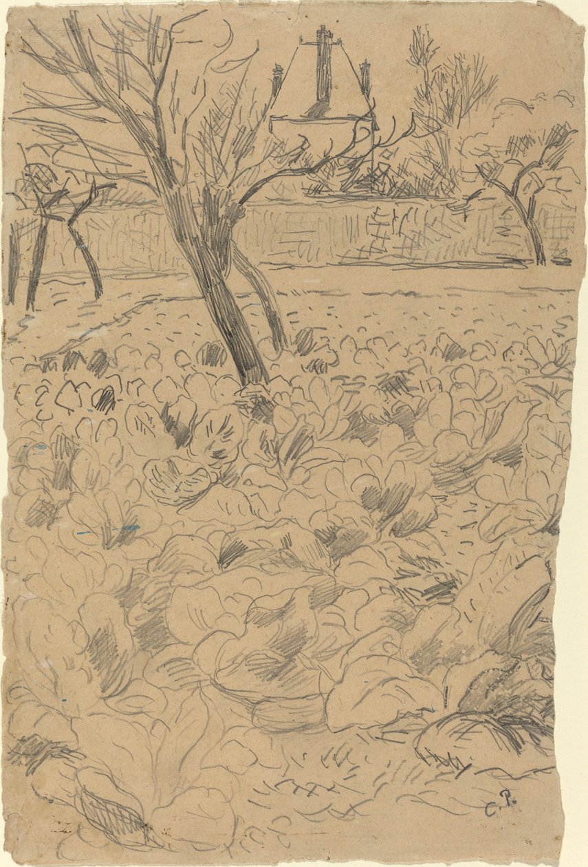 Il campo di cavoli da Camille Pissarro