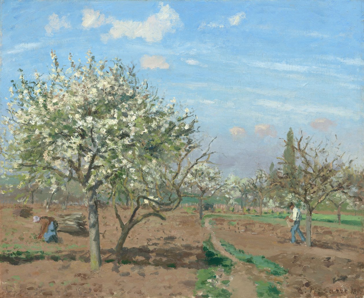 Frutteto in fiore, Louveciennes da Camille Pissarro