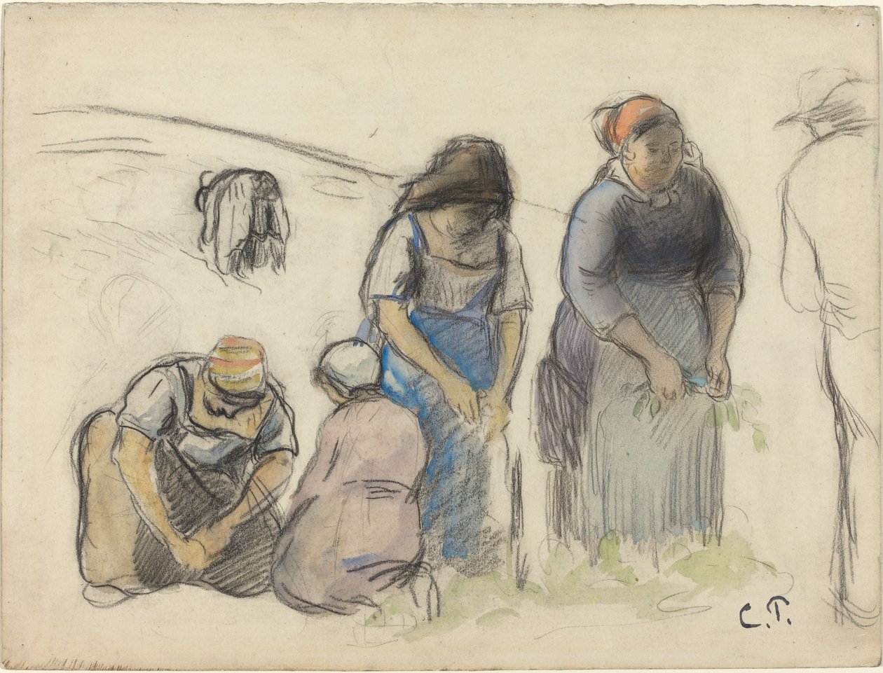Raccoglitori di Piselli [recto] da Camille Pissarro