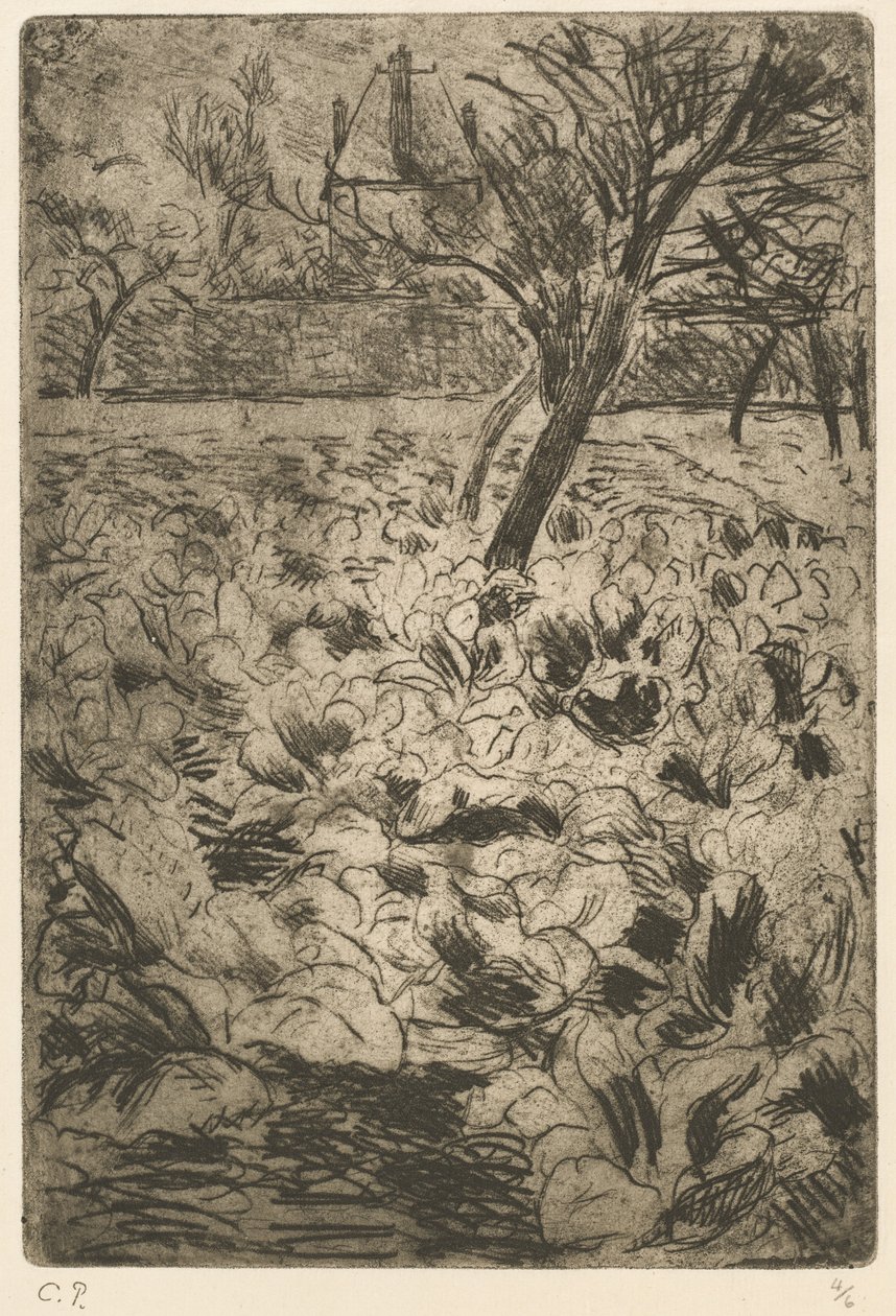 Il campo di cavoli da Camille Pissarro