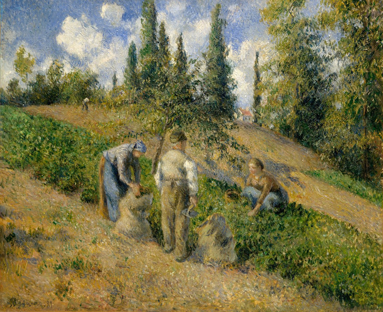Il Raccolto, Pontoise da Camille Jacob Pissarro