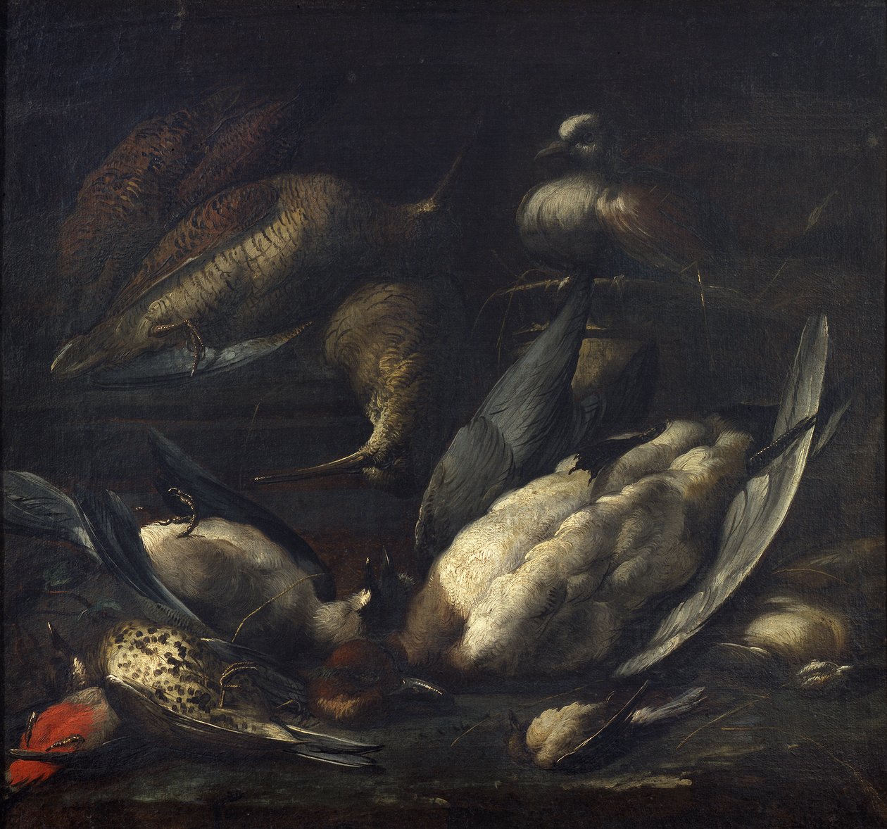 Gioco con un piccione vivo da Candido Vitali