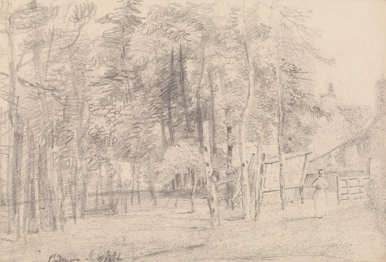 Padmore, Isola di Wight da Capt. Thomas Hastings