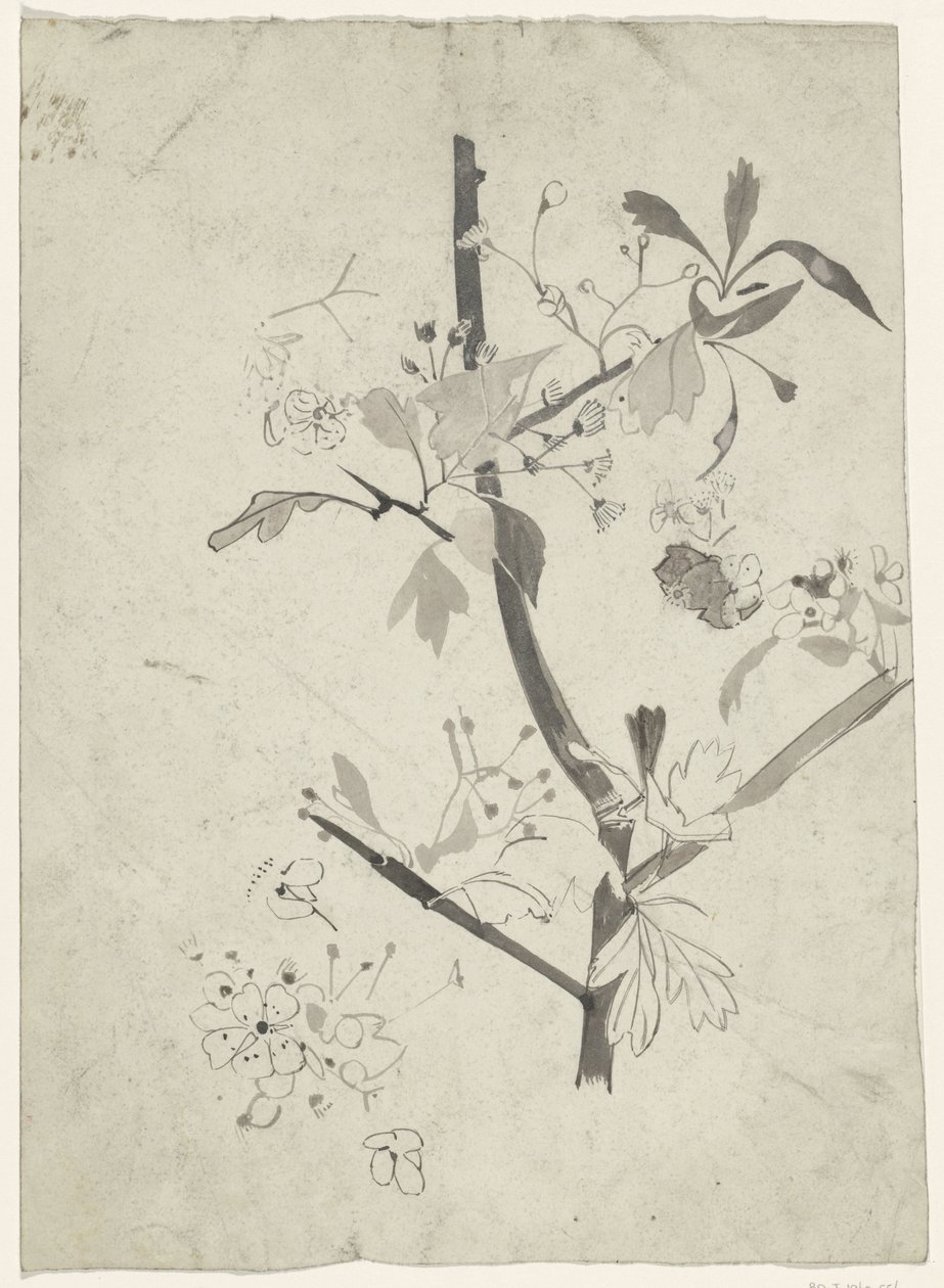 Ramo con fiori da Carel Adolph Lion Cachet