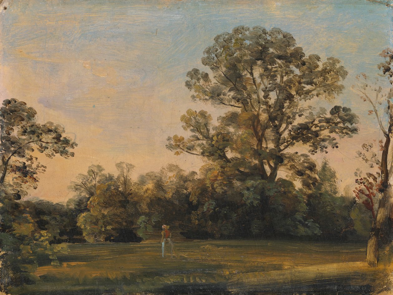 Paesaggio boschivo con castello sull