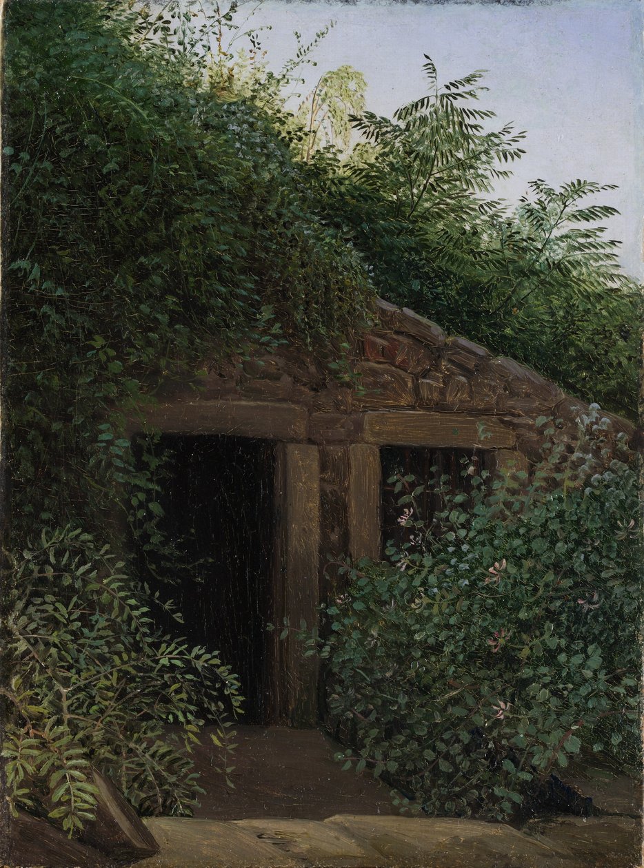 Un pozzo minerario troppo cresciuto da Carl Gustav Carus