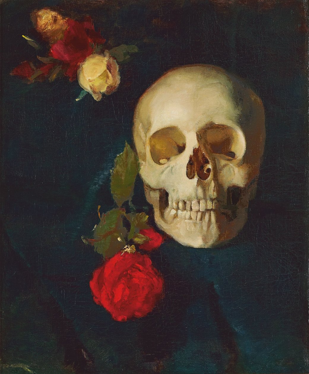 Tedesco: Teschio con rose da Carl Schuch