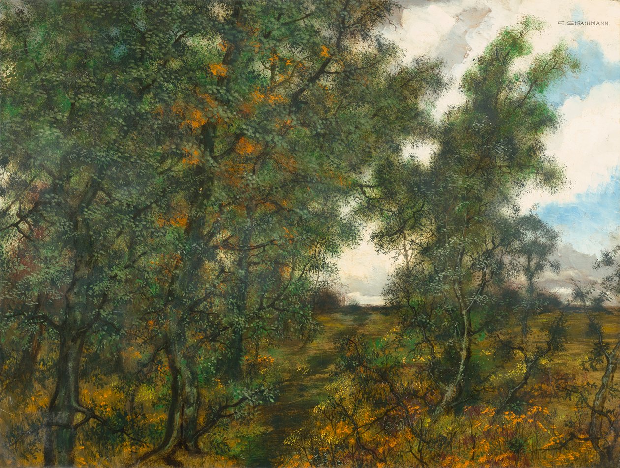 Al margine del bosco da Carl Strathmann