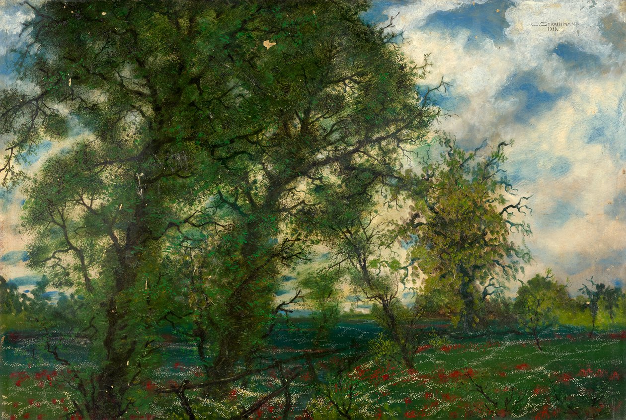 Paesaggio primaverile da Carl Strathmann