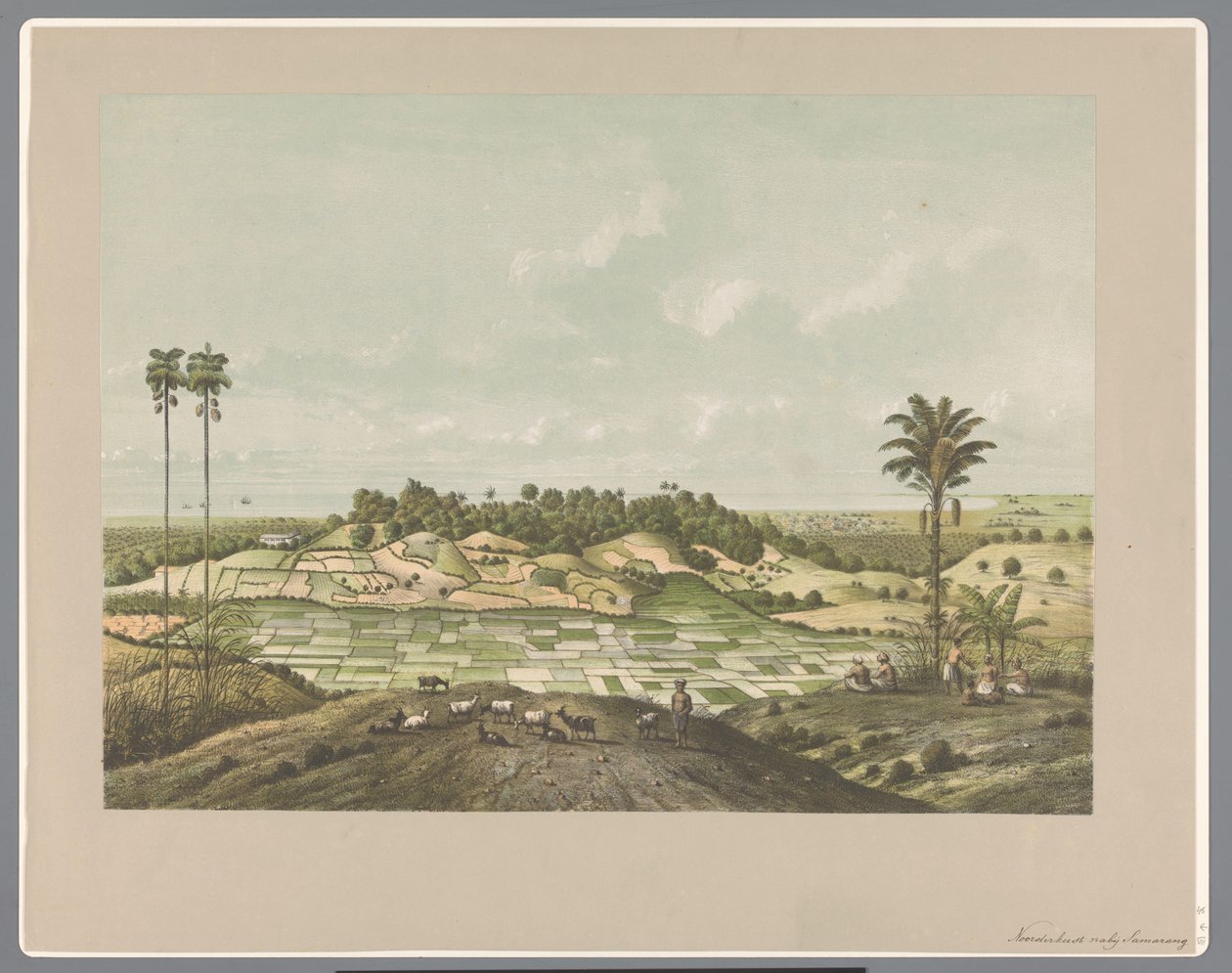 Costa nord vicino a Semarang da Carl Wilhelm Mieling (possibly)