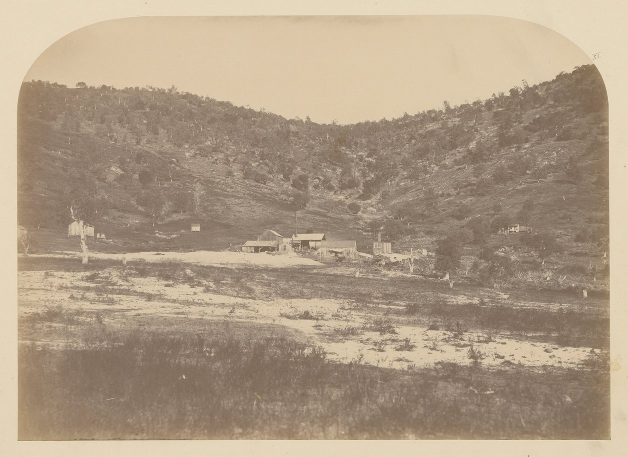 (Bear Valley Mill) da Carleton E. Watkins