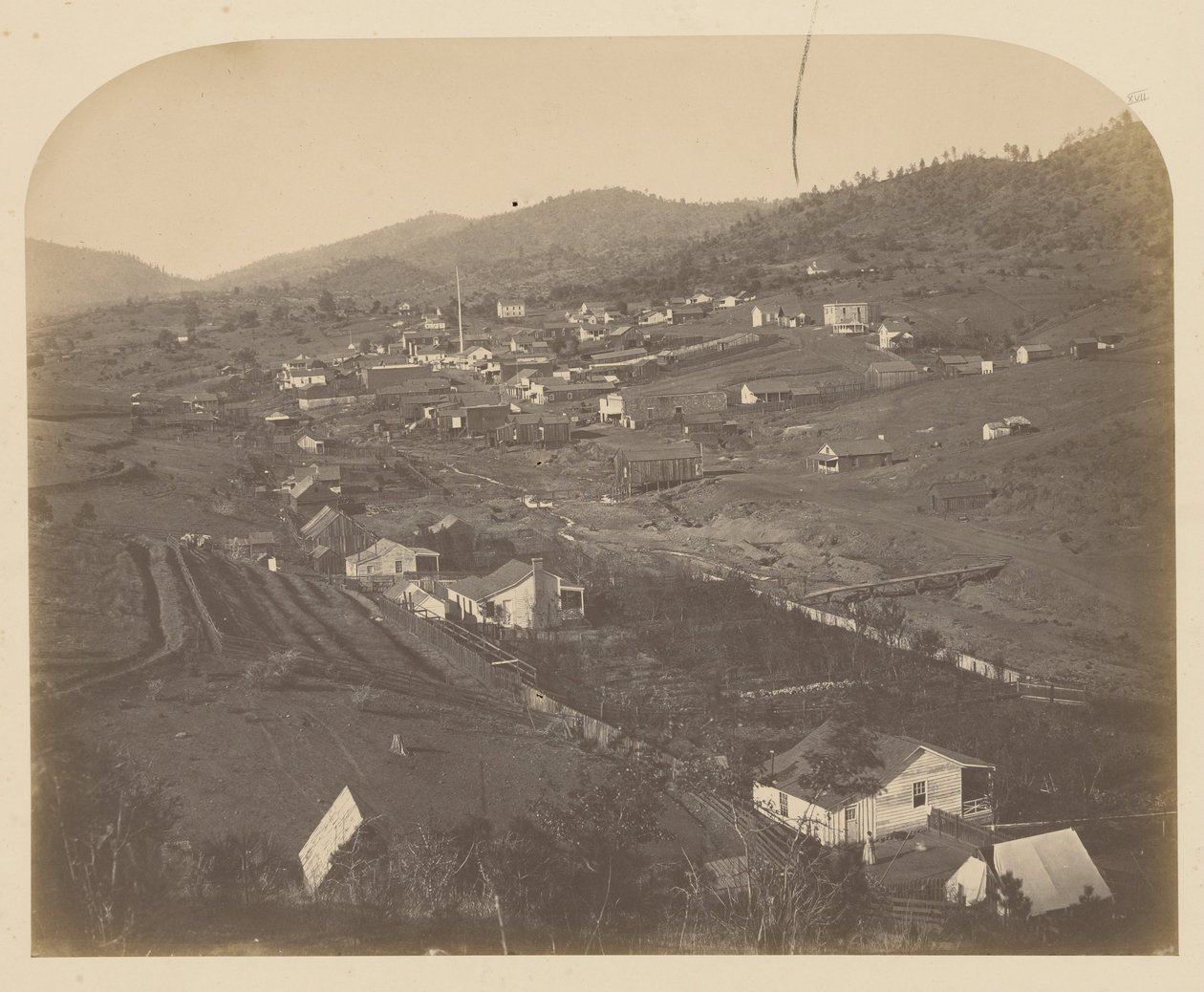 (Mariposa) da Carleton E. Watkins