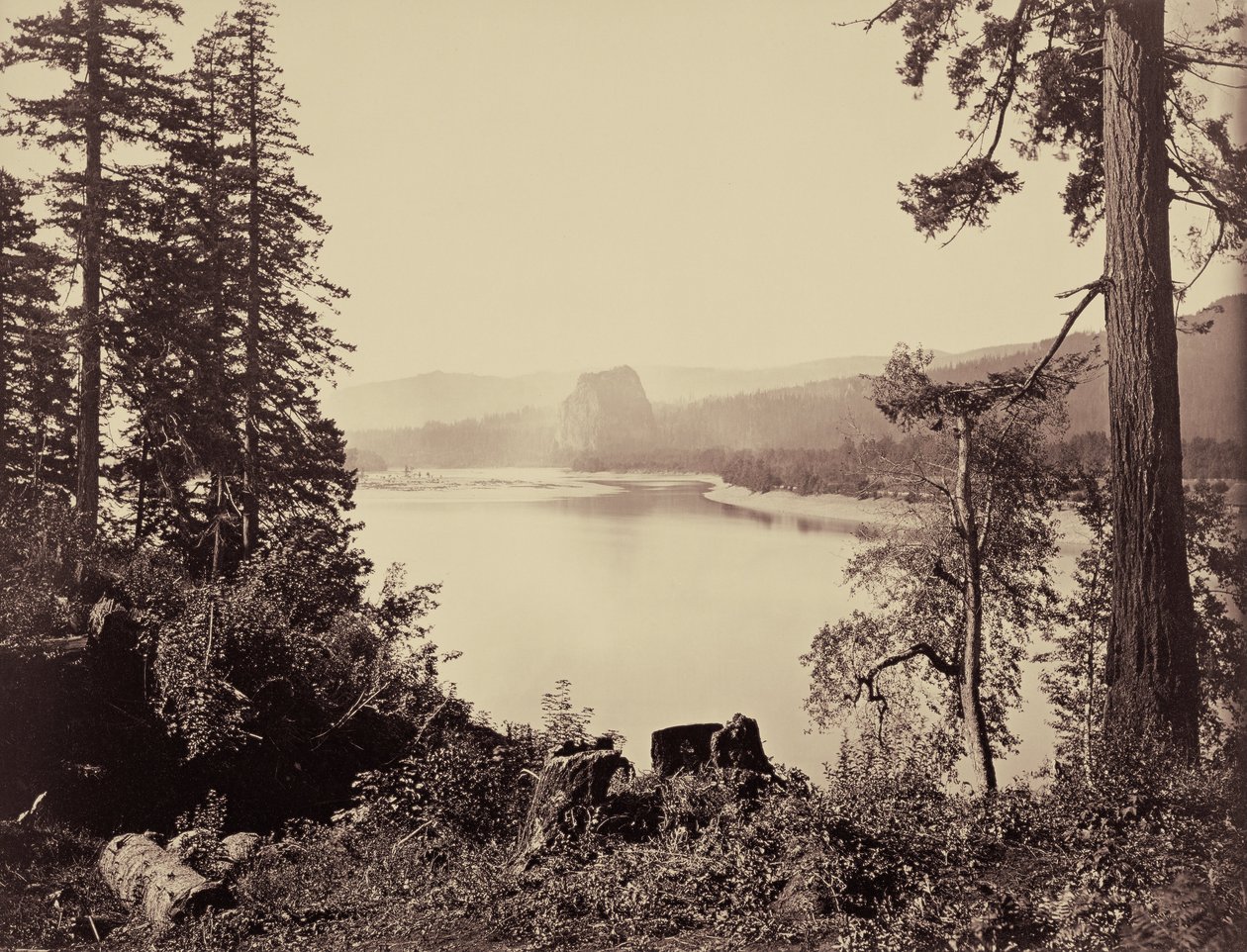Castle Rock, Fiume Columbia da Carleton E. Watkins