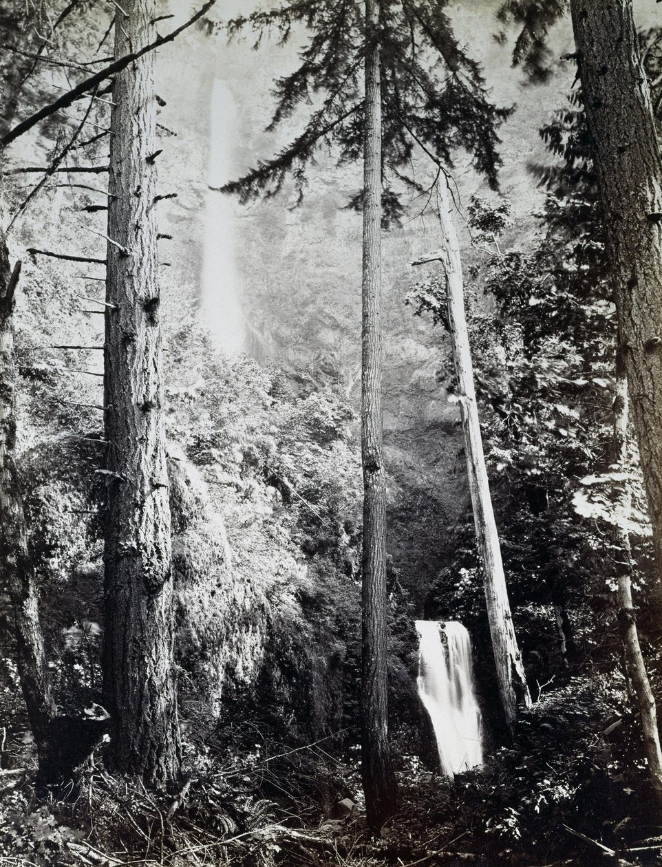 Cascate Multnomah, Cascate, Fiume Columbia da Carleton E. Watkins