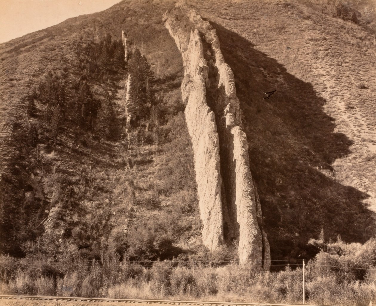Scivolo del diavolo da Carleton E. Watkins