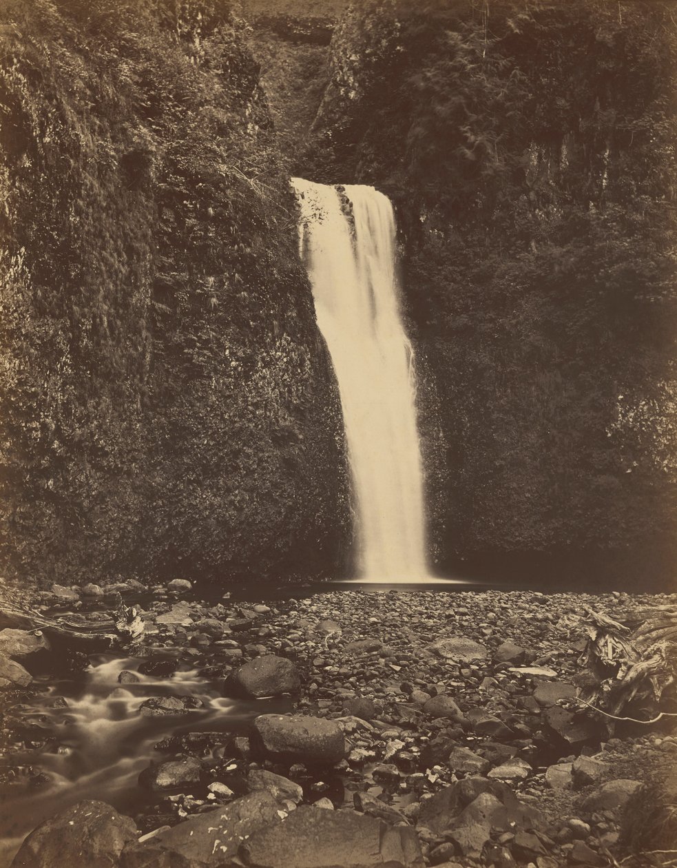 Cascate di Multnomah, fiume Columbia, 1867 (foto) da Carleton Emmons Watkins