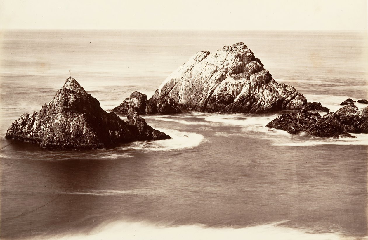 Seal Rocks, 1868-69, stampato ca. 1876 da Carleton Emmons Watkins