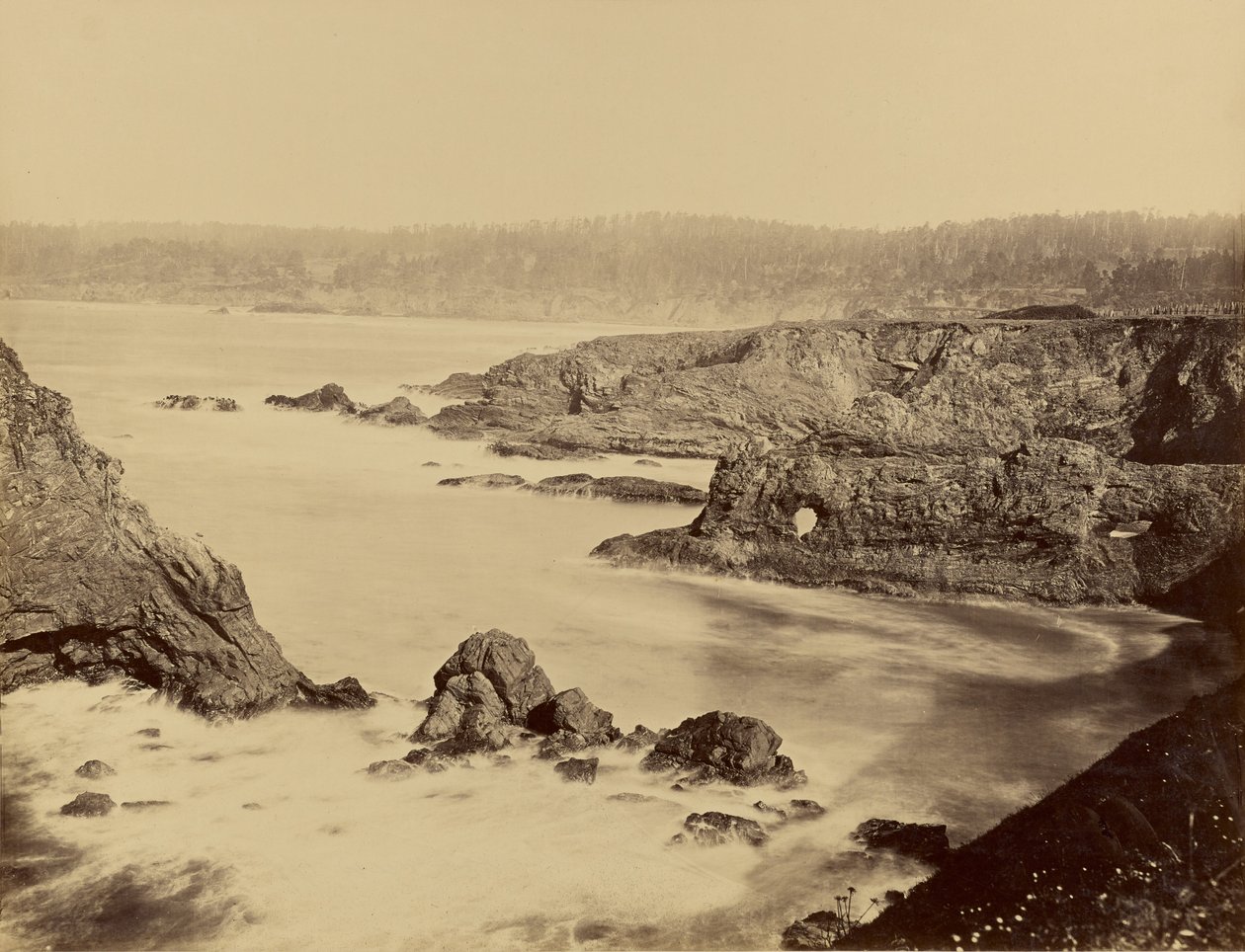 [Vista sulla costa di Mendocino] da Carleton Watkins