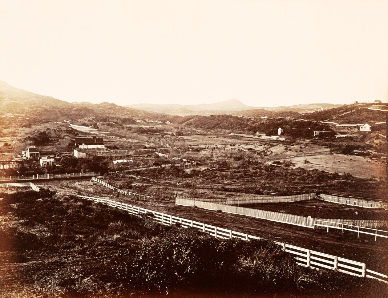 [Montagna Solitaria, dal manicomio degli orfani] da Carleton Watkins