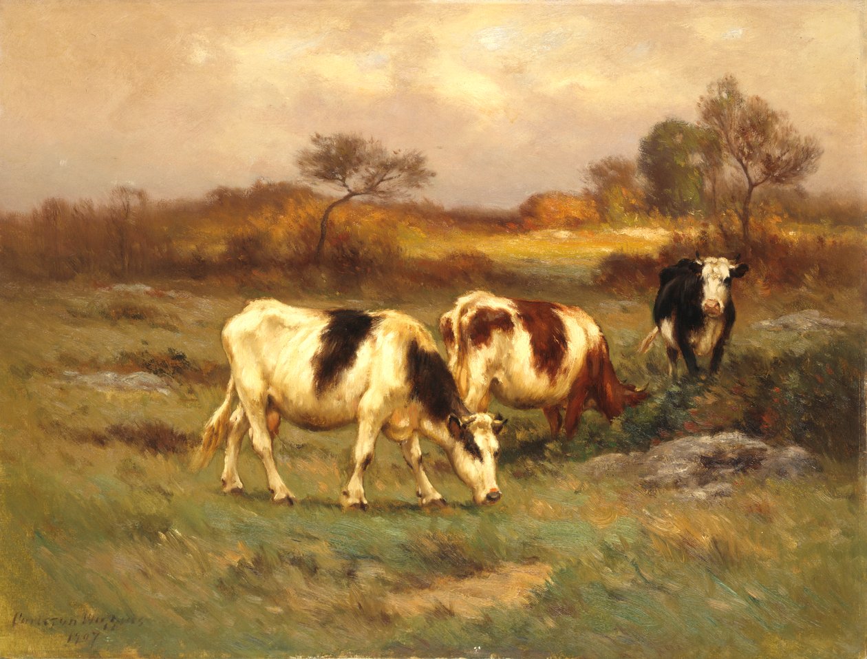 Il pascolo da Carleton Wiggins