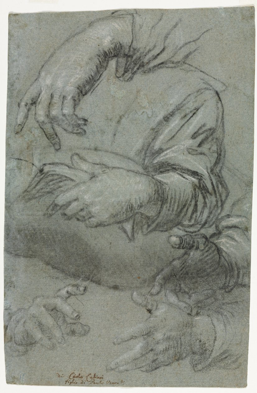 Studi di mani (recto) da Carletto Caliari