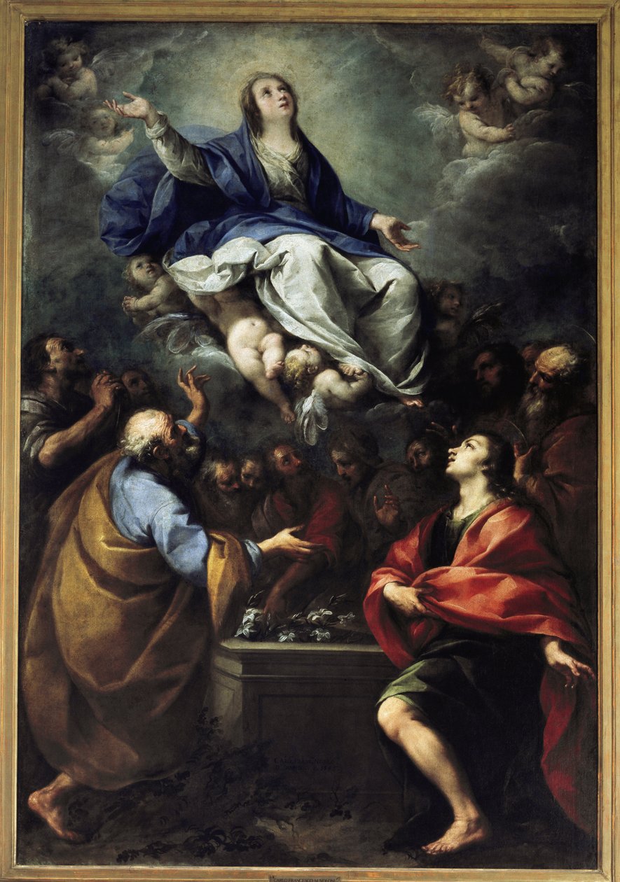 Assunzione di Maria da Carlo Francesco Nuvolone