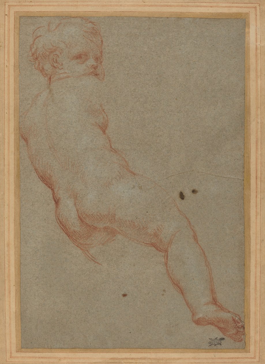 Studio di un ragazzo da Carlo Maratta