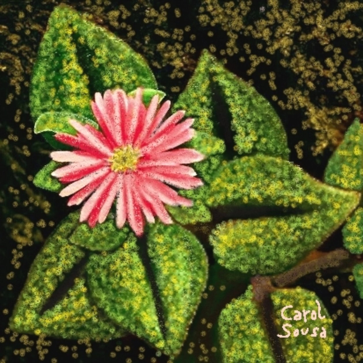 Fiore selvatico da Carol Sousa Cuello