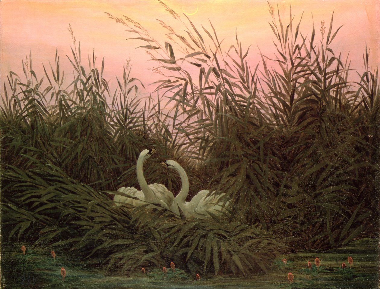 Cigni tra le canne, c.1820 da Caspar David Friedrich