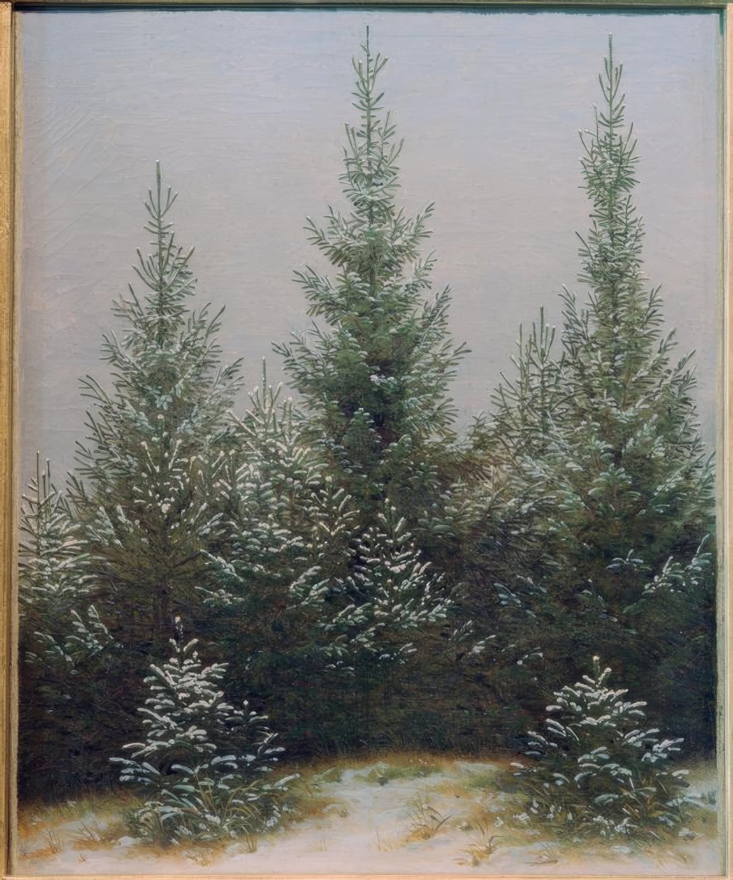 Bosco di abeti nella neve da Caspar David Friedrich