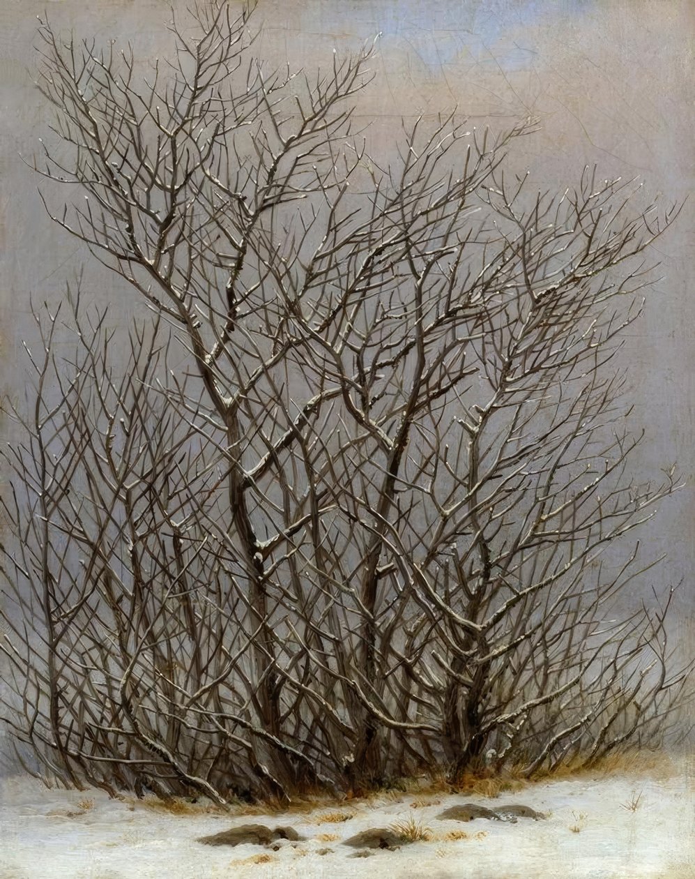 Cespuglio nella neve da Caspar David Friedrich