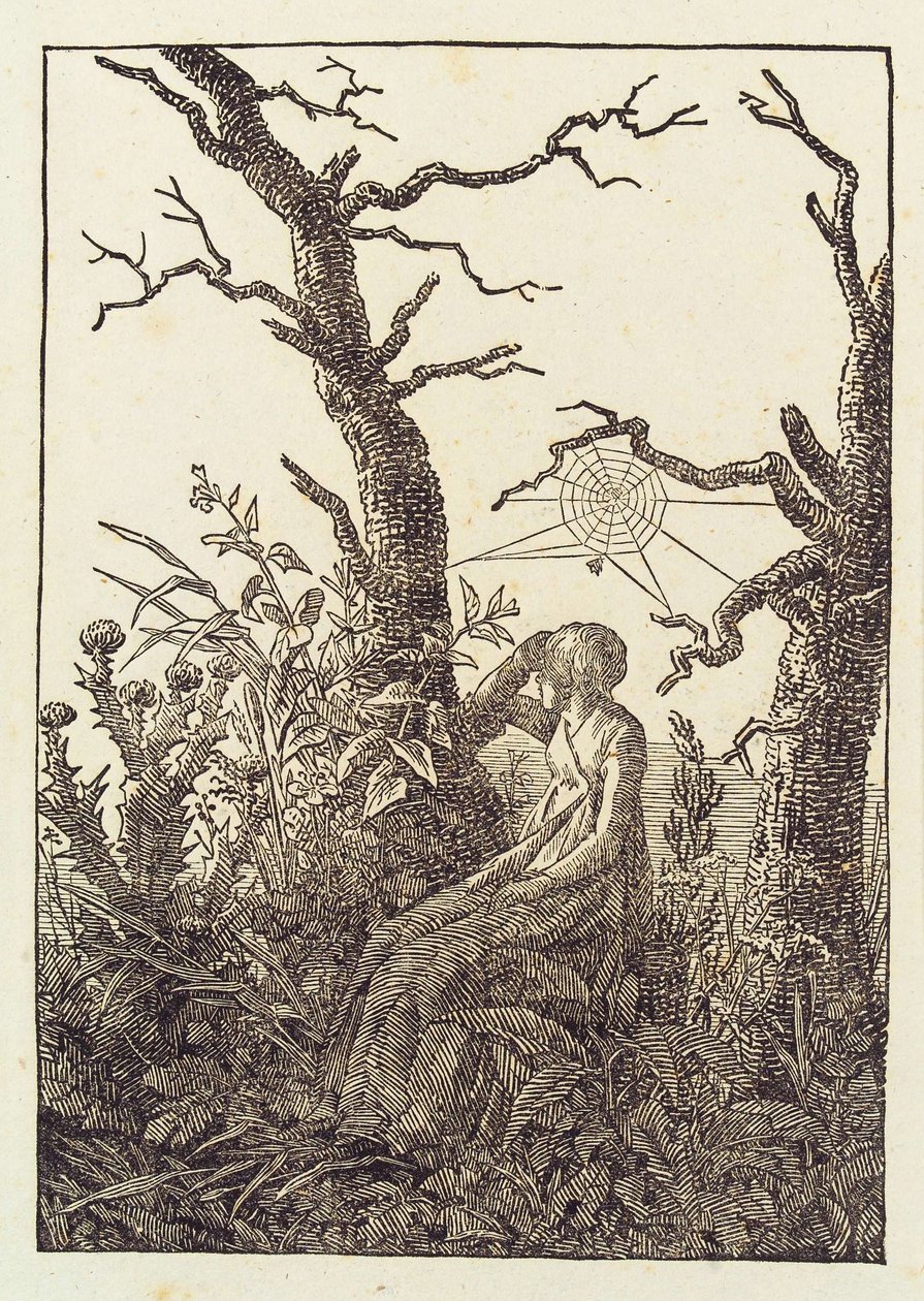 La donna con la ragnatela da Caspar David Friedrich