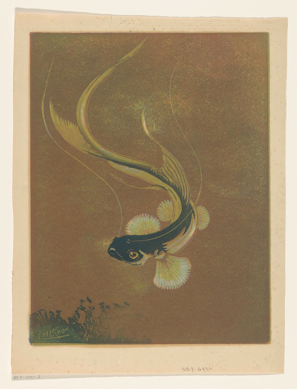 Pesce che nuota da Casper M.L. Kouw