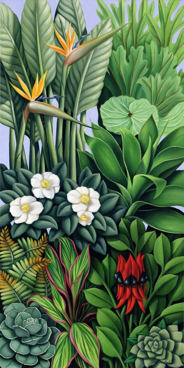 Fogliame II da Catherine Abel