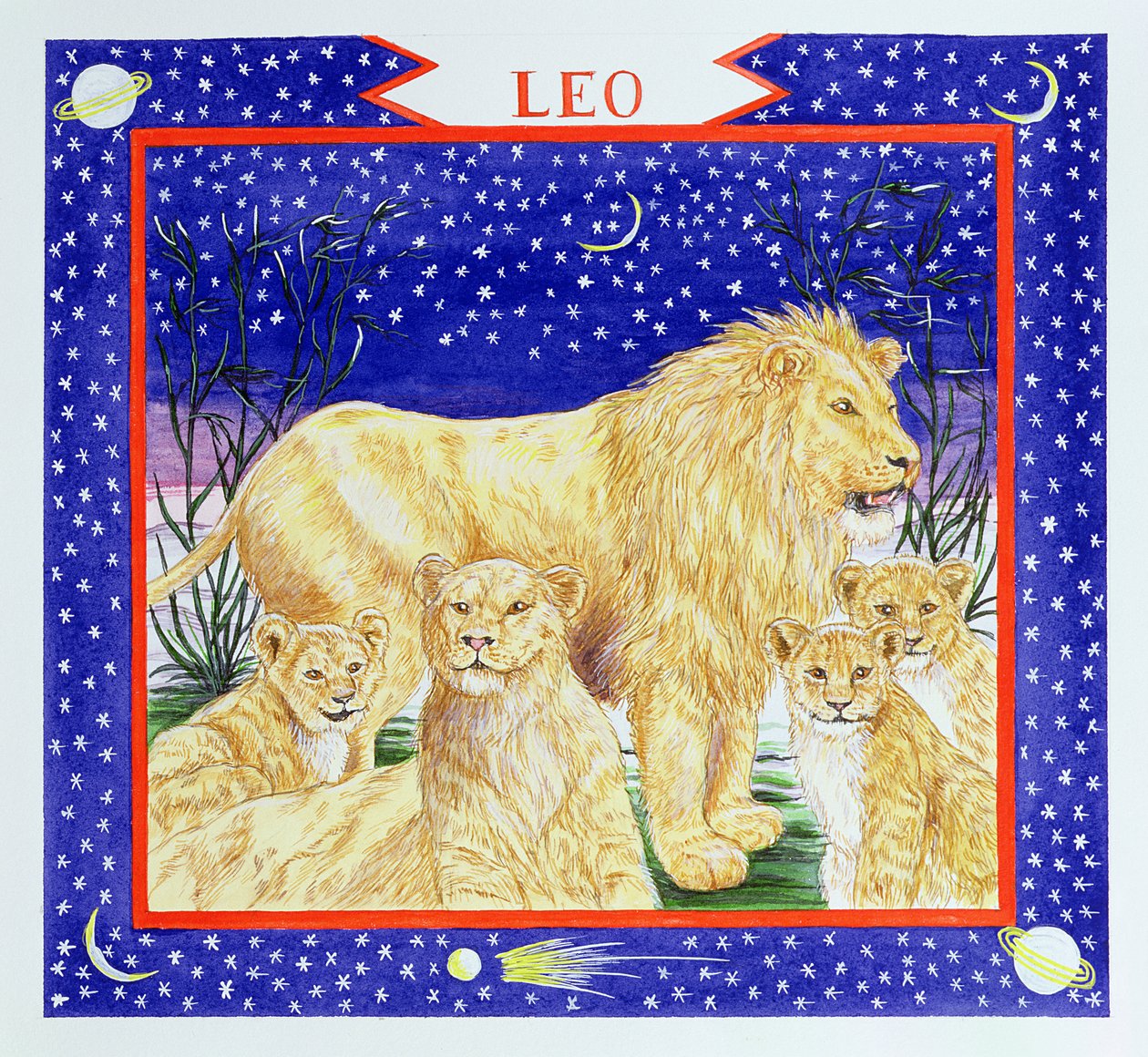 Leone da Catherine Bradbury