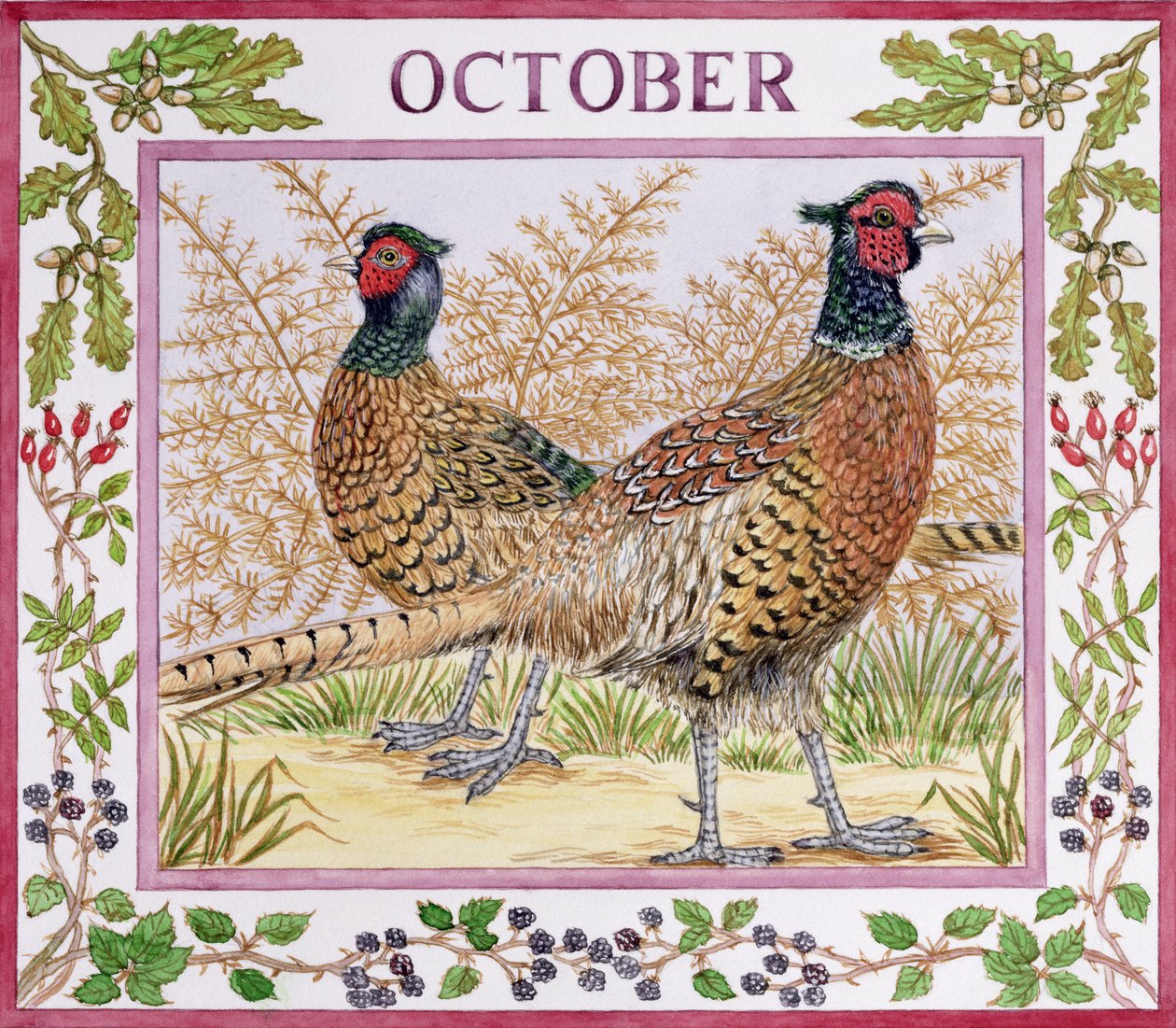 Ottobre da Catherine Bradbury