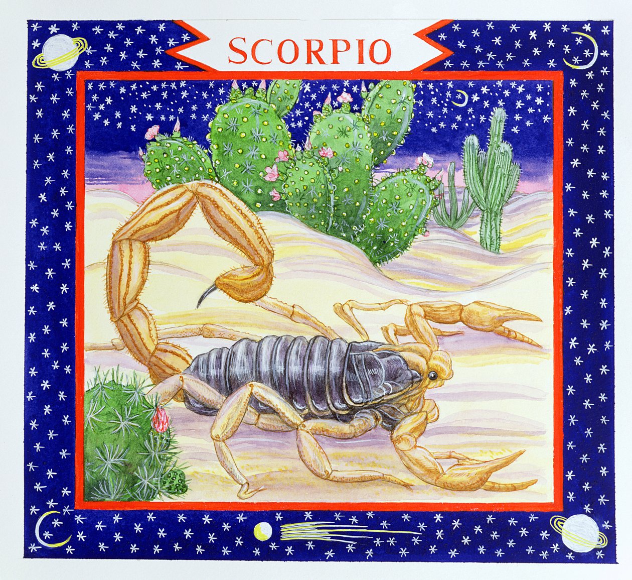 Scorpione da Catherine Bradbury