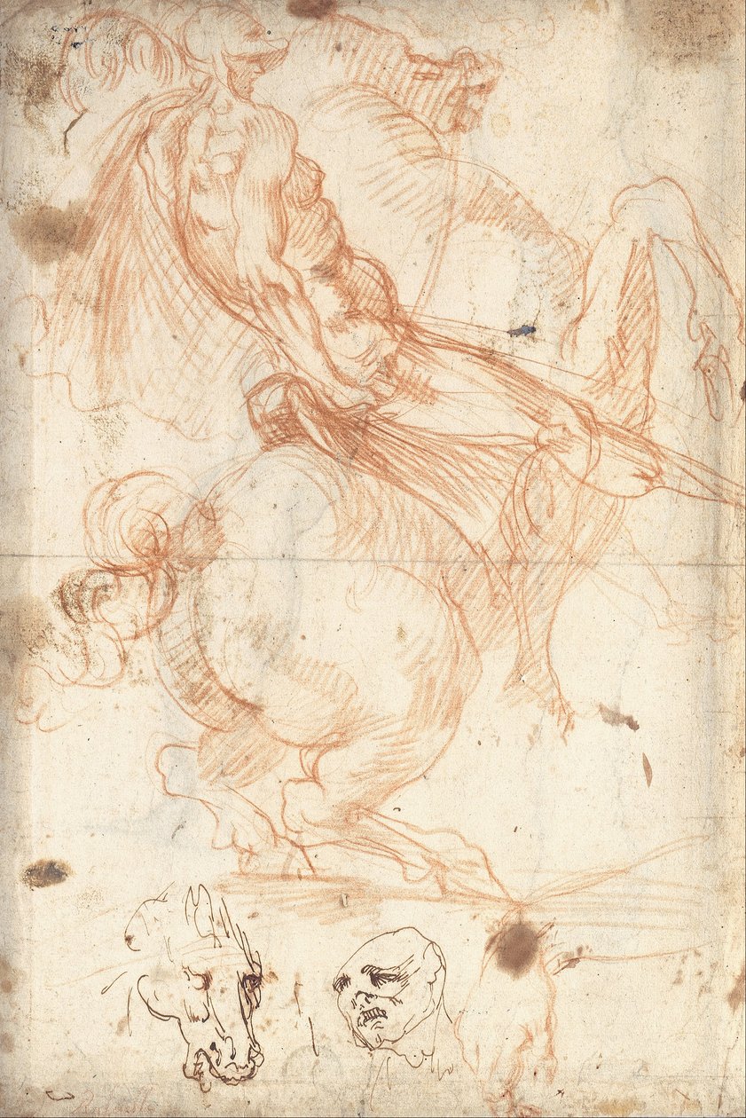 Studio equestre da Cavalier d’Arpino