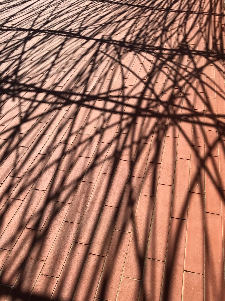 Composizione - Ombre, 2021 (foto) da Cécile Jamet