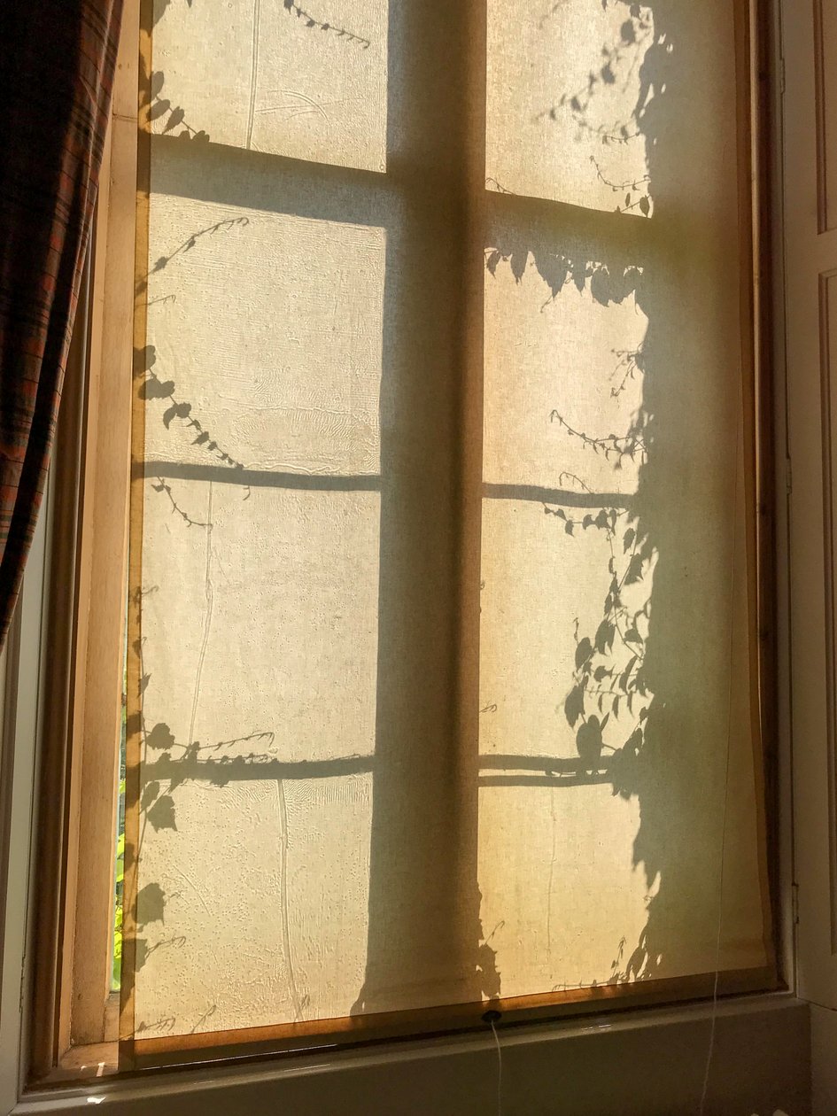 Composizione - Ombre, 2021 (foto) da Cécile Jamet