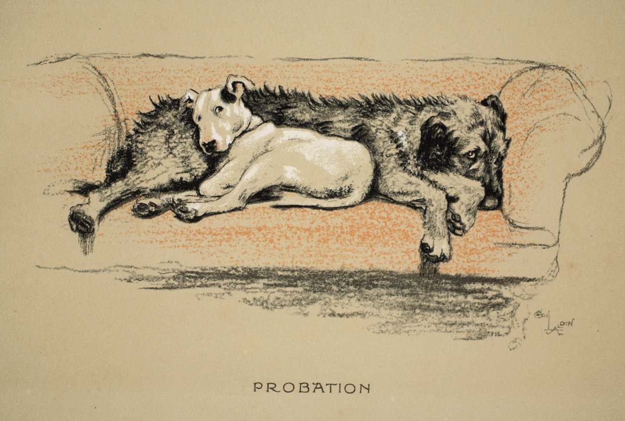 Probation, 1930, 1a Edizione di 